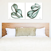 Coastal Serenity I & II